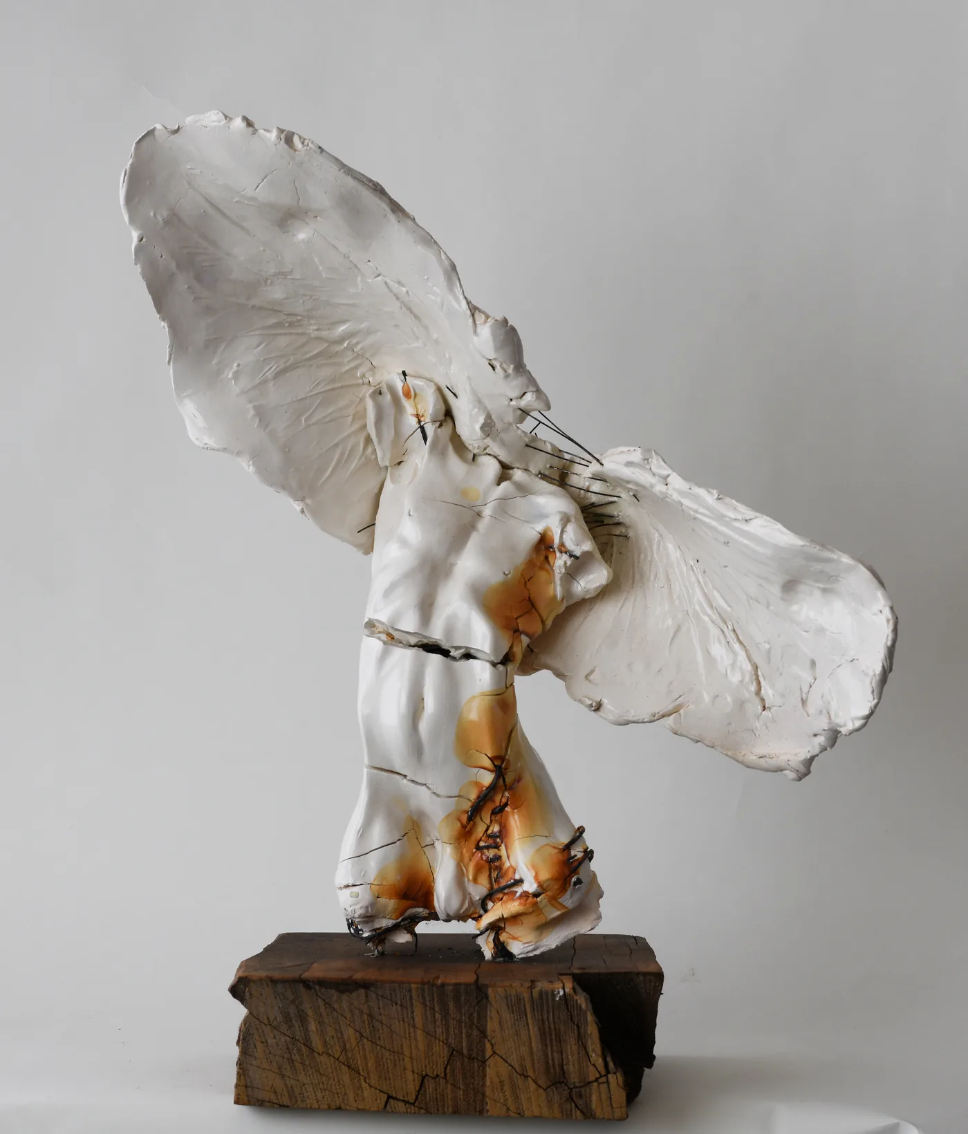 Carl DAHL, Large Male Angel