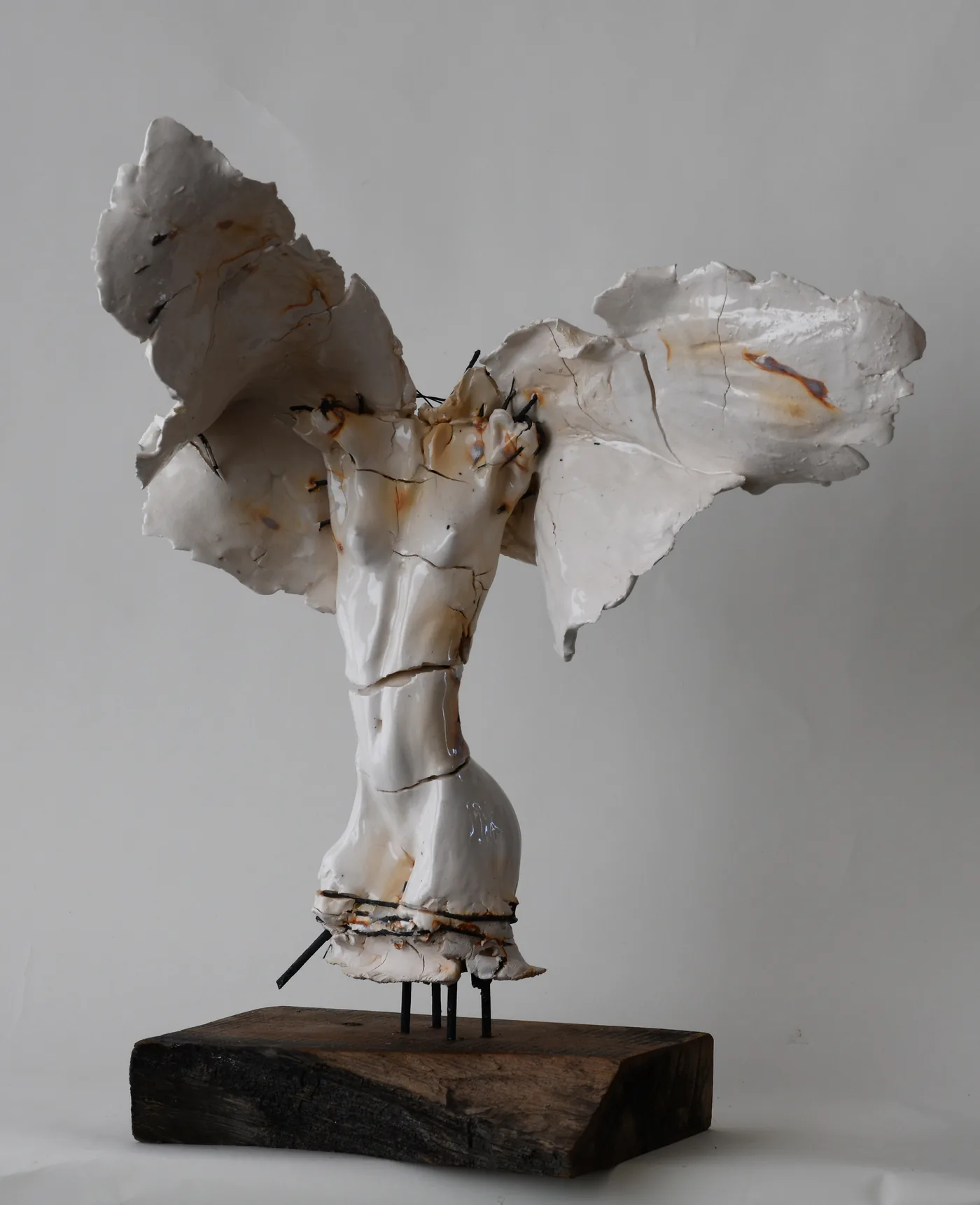 Carl DAHL, Large Female Angel