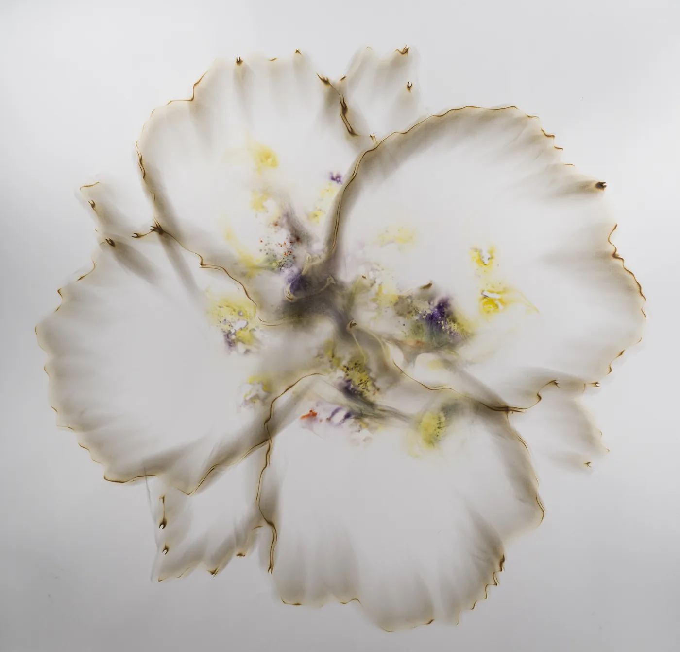 Dennis Lee MITCHELL, Untitled (84)