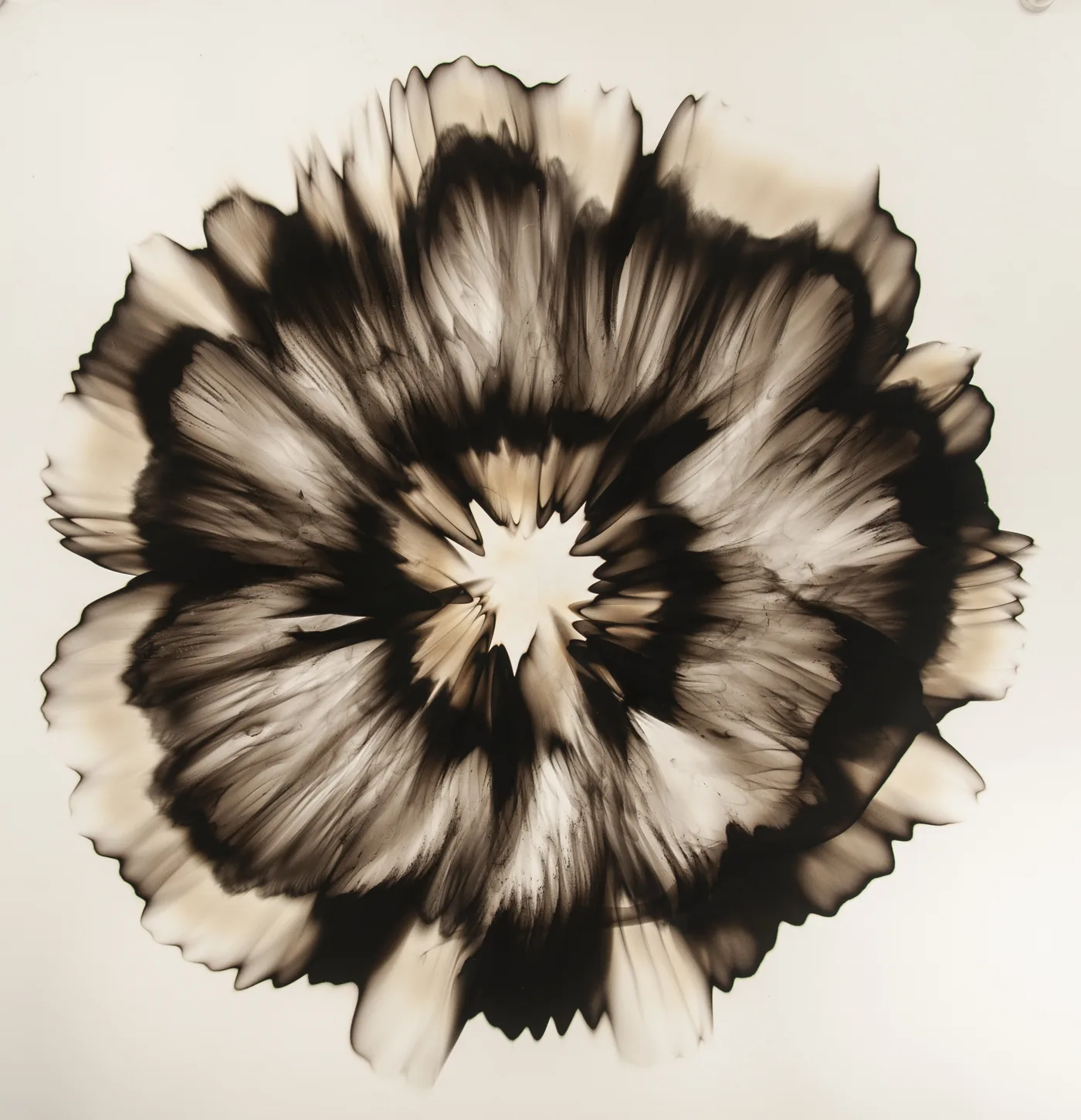 Dennis Lee MITCHELL, Untitled (46.8)
