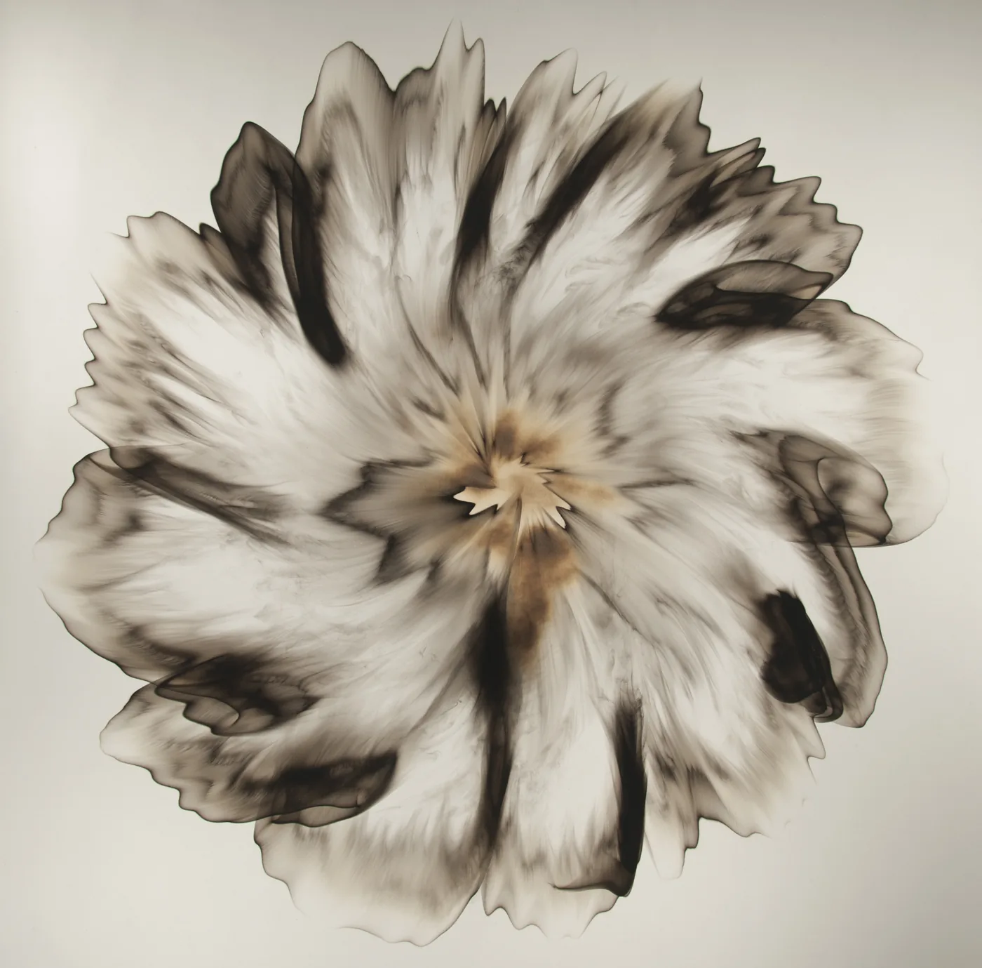 Dennis Lee MITCHELL, Untitled (33.1)