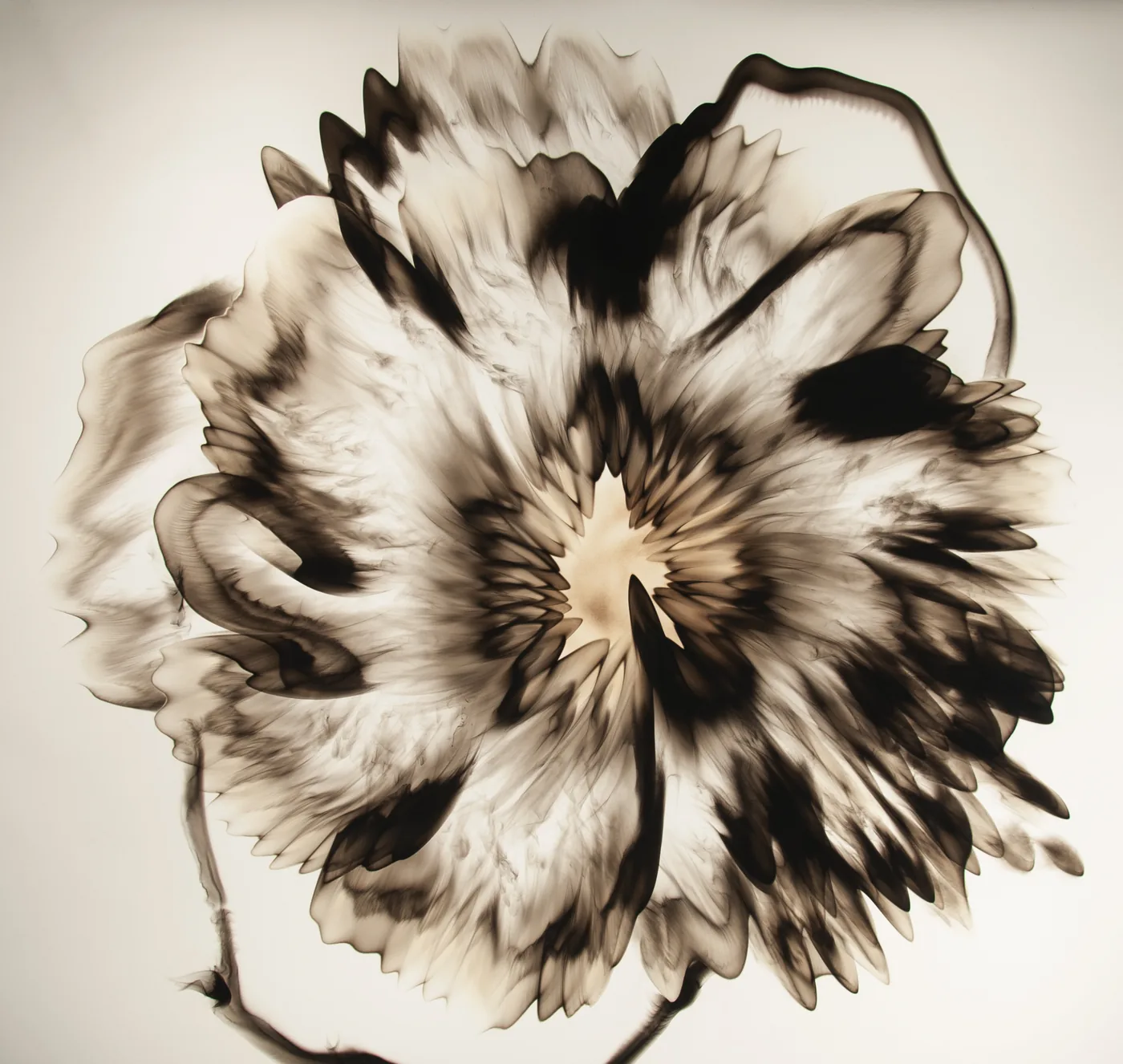 Dennis Lee MITCHELL, Untitled (36.3)
