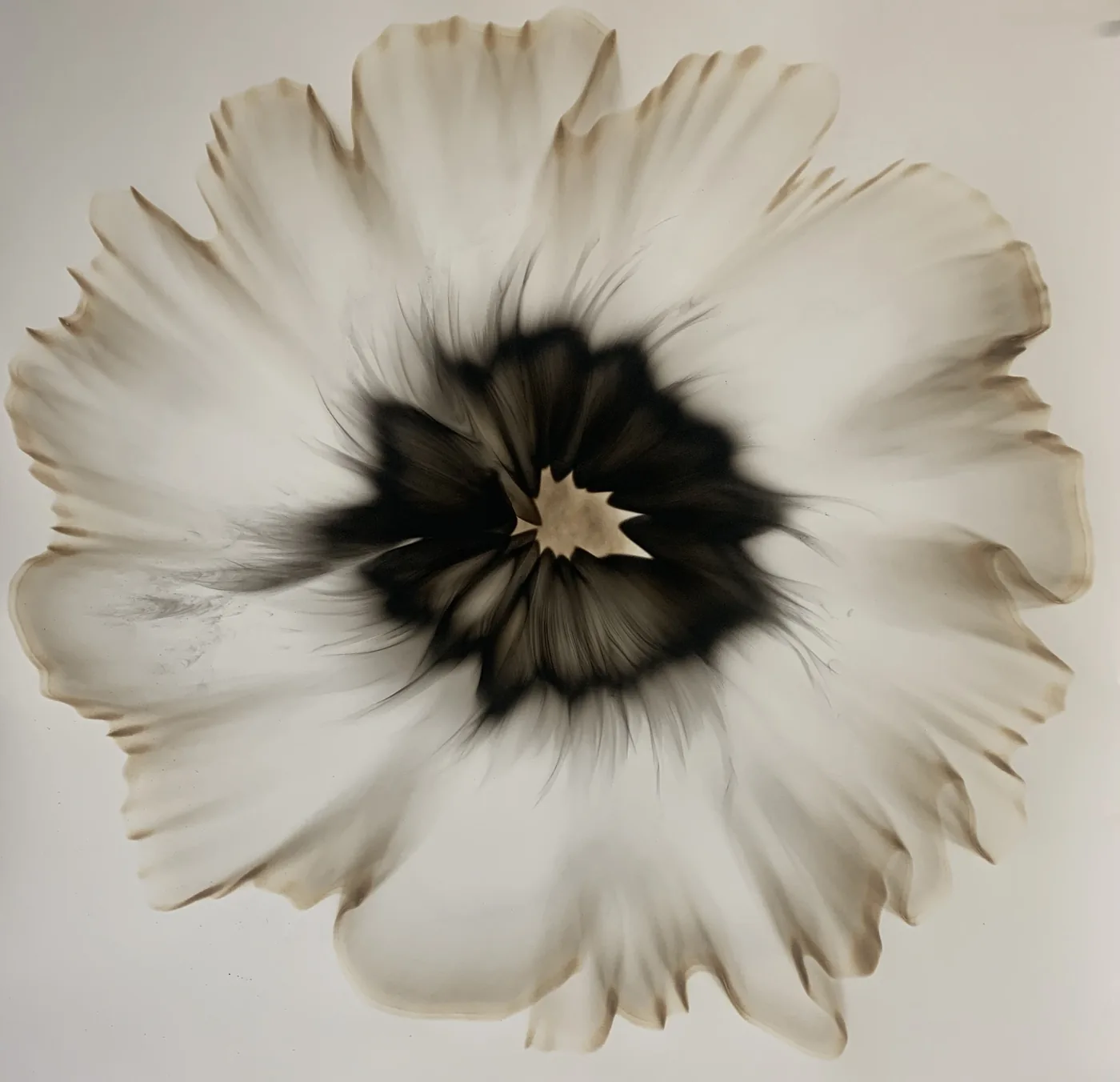 Dennis Lee MITCHELL, Untitled