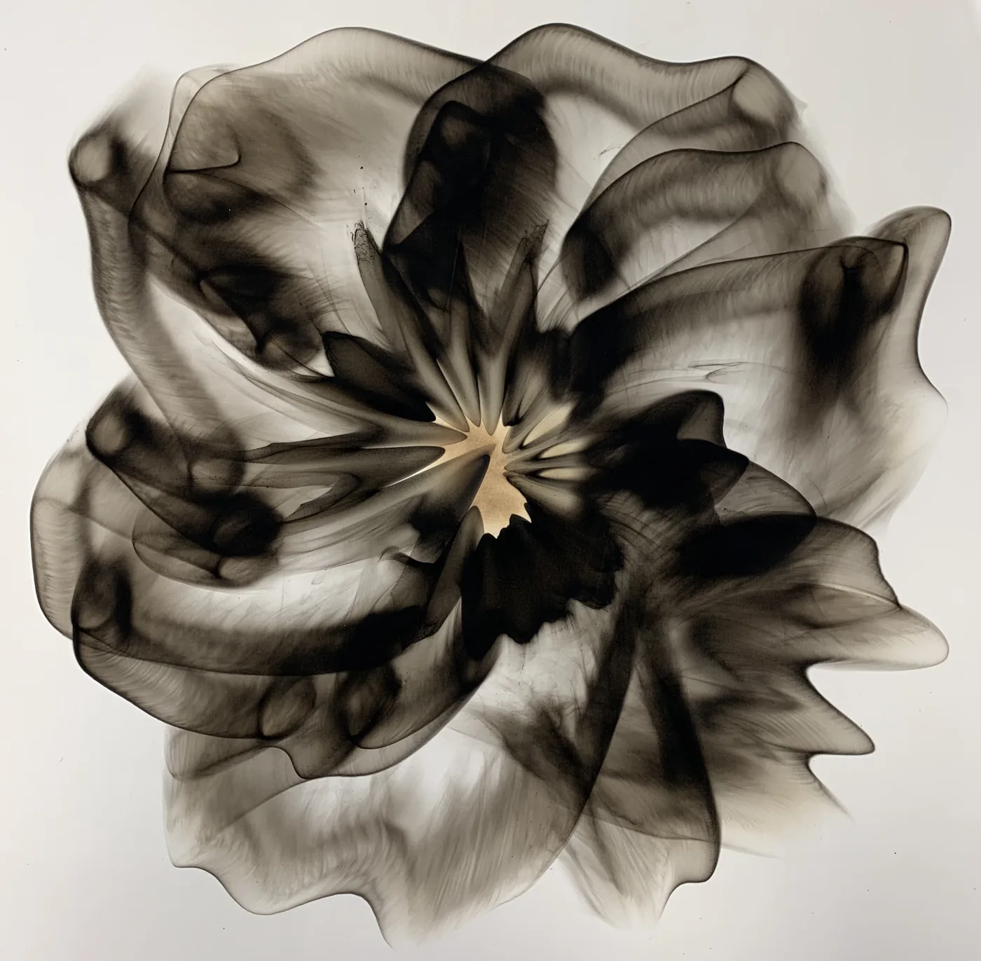Dennis Lee MITCHELL, smoke on paper