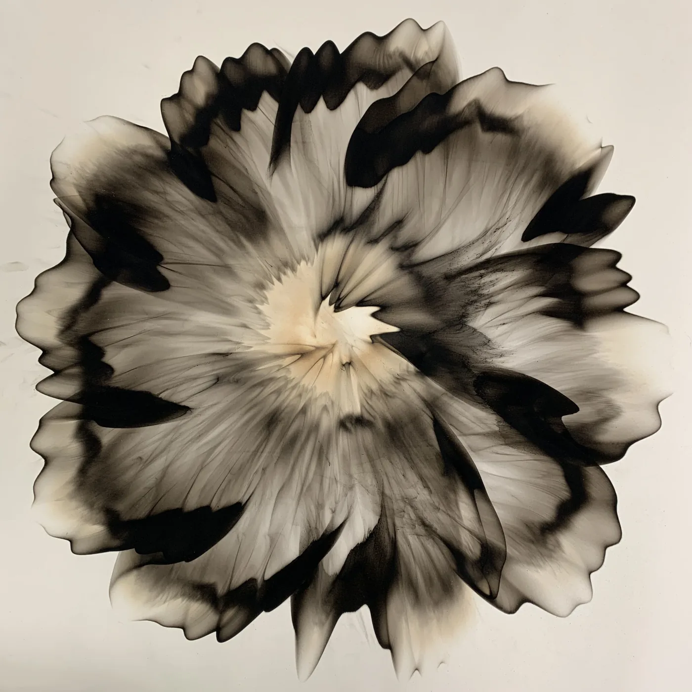 Dennis Lee MITCHELL, smoke on paper