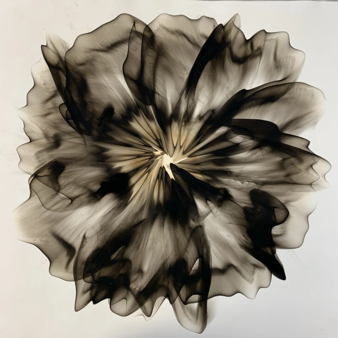 Dennis Lee MITCHELL, smoke on paper