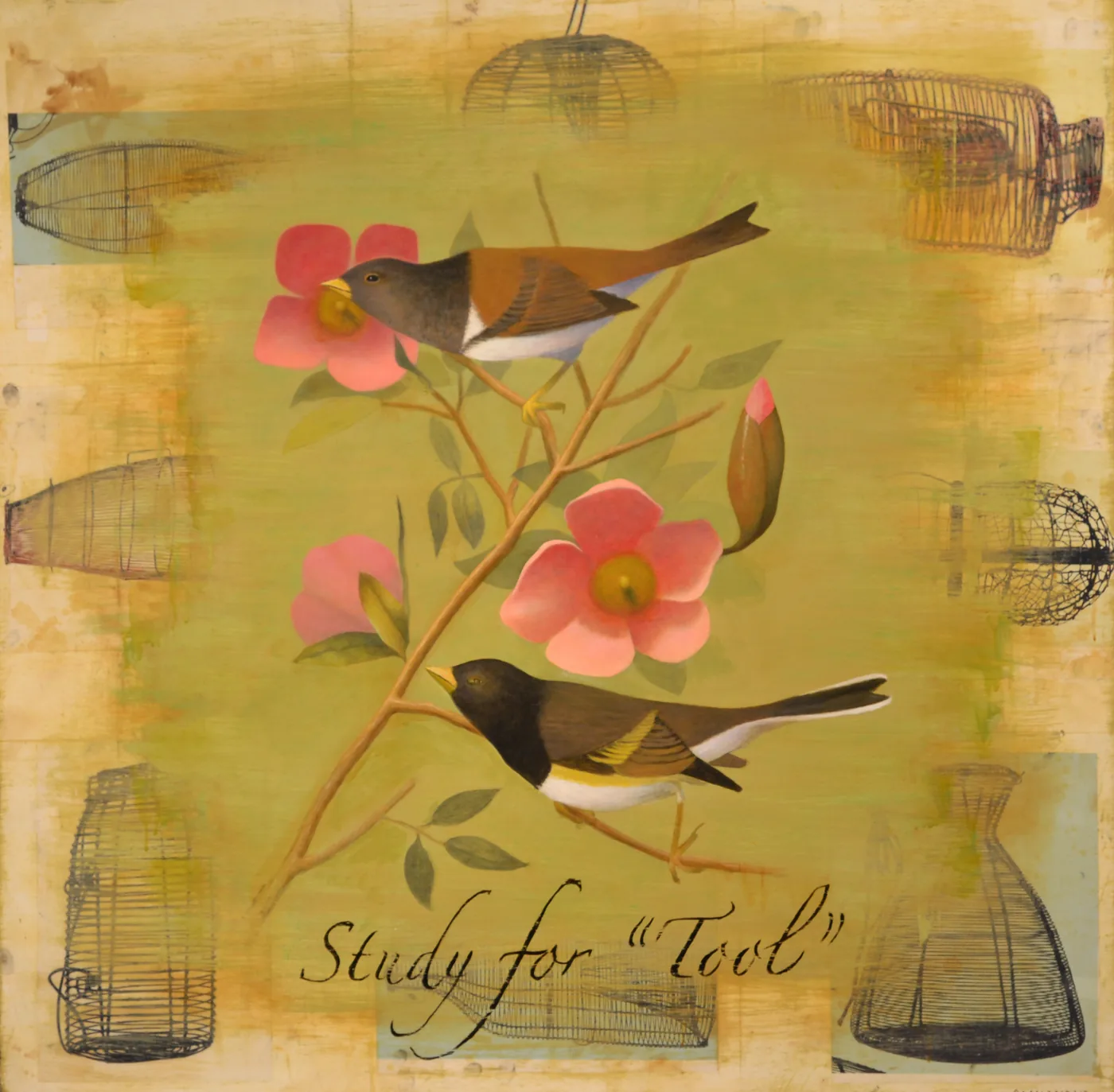 Frank DAMIANO, Study for Tool