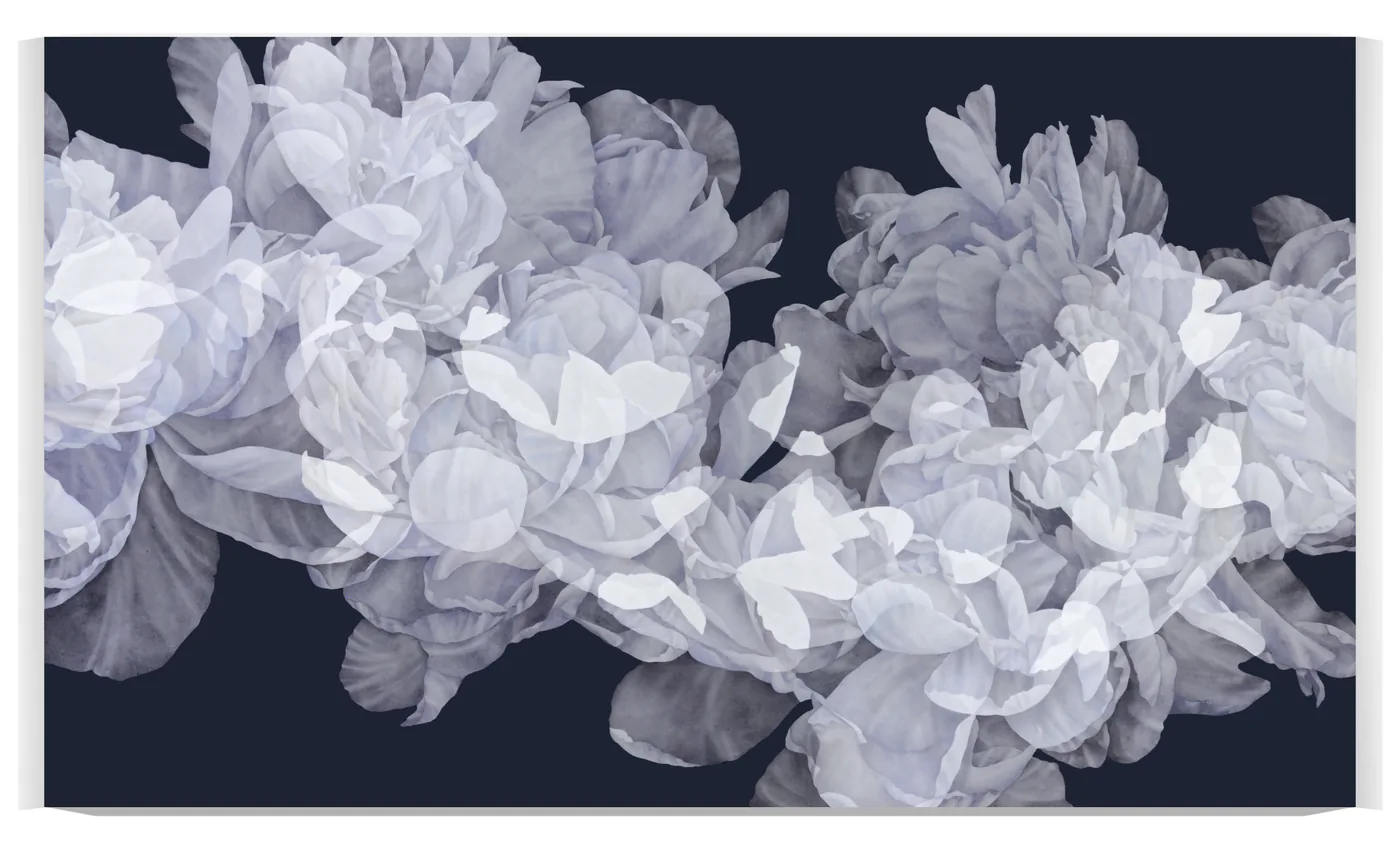 Greg MURR, Transitory