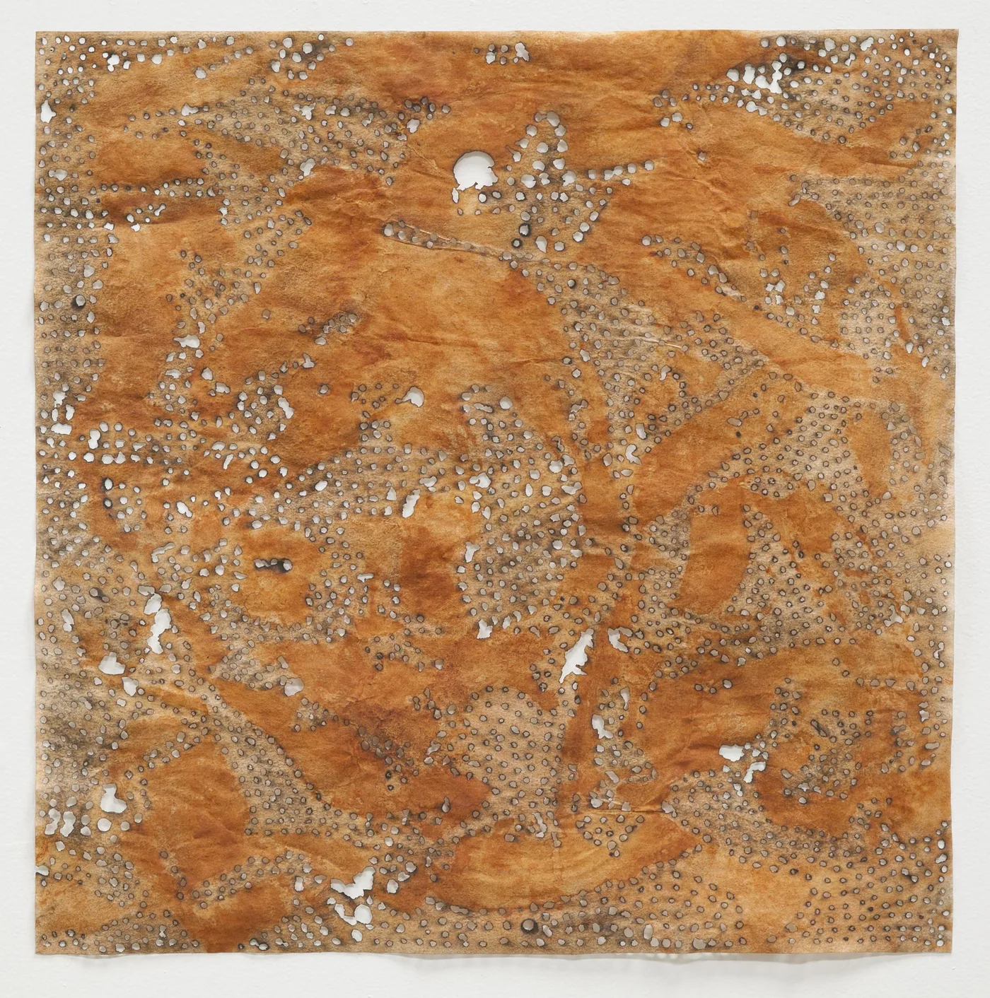 Jay McCAFFERTY, Rust #7