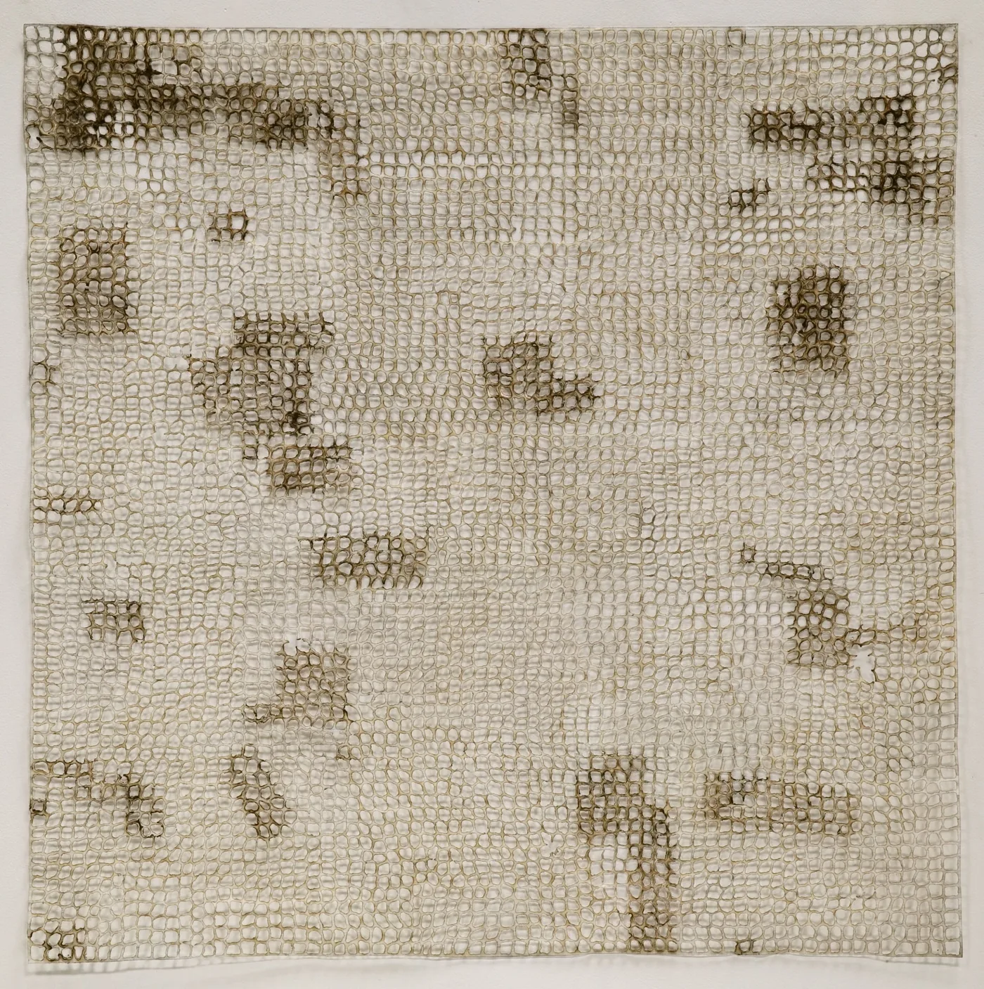 Jay McCAFFERTY, Natural Polarities #1