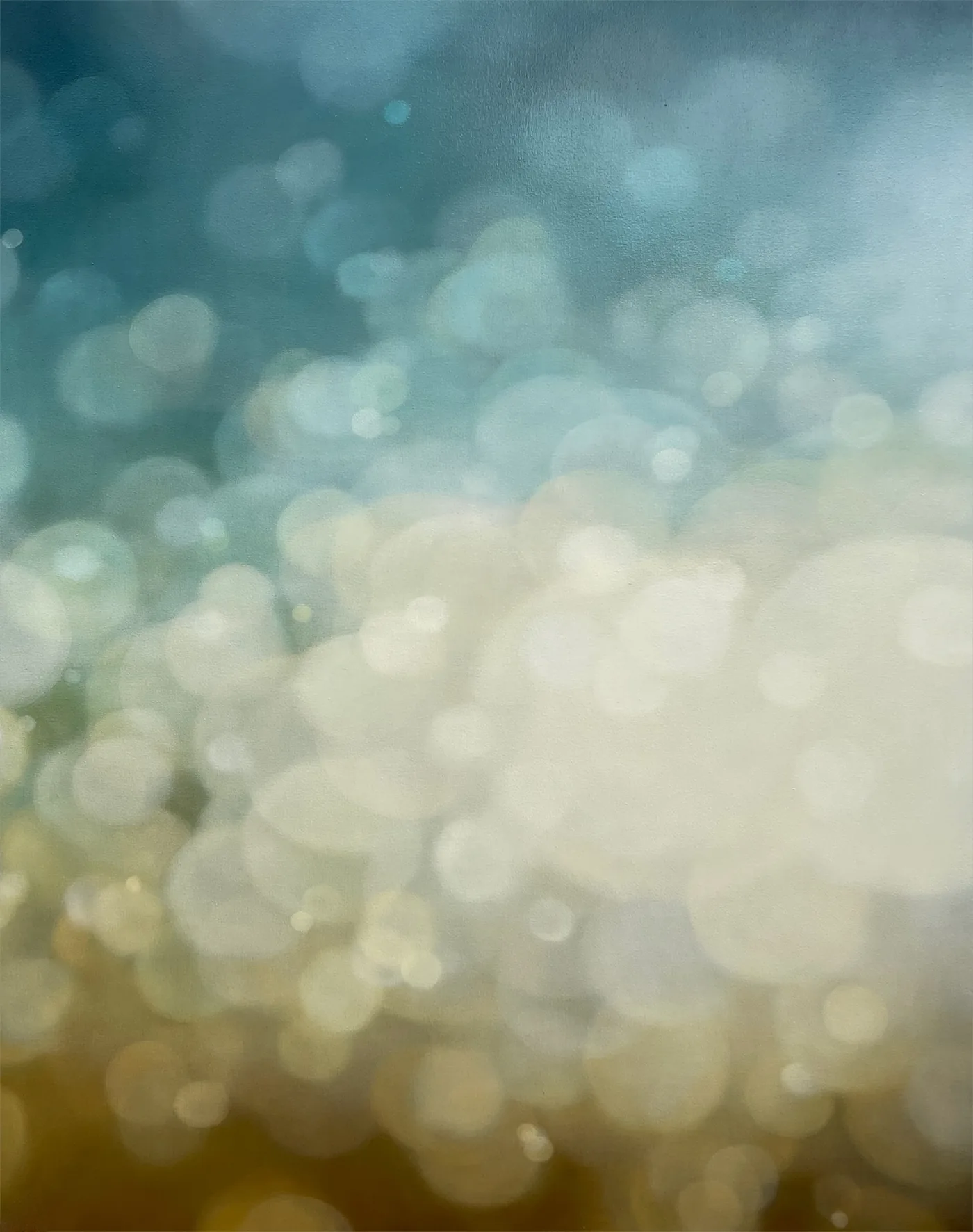 Jenn SHIFFLET, A Dance of Light