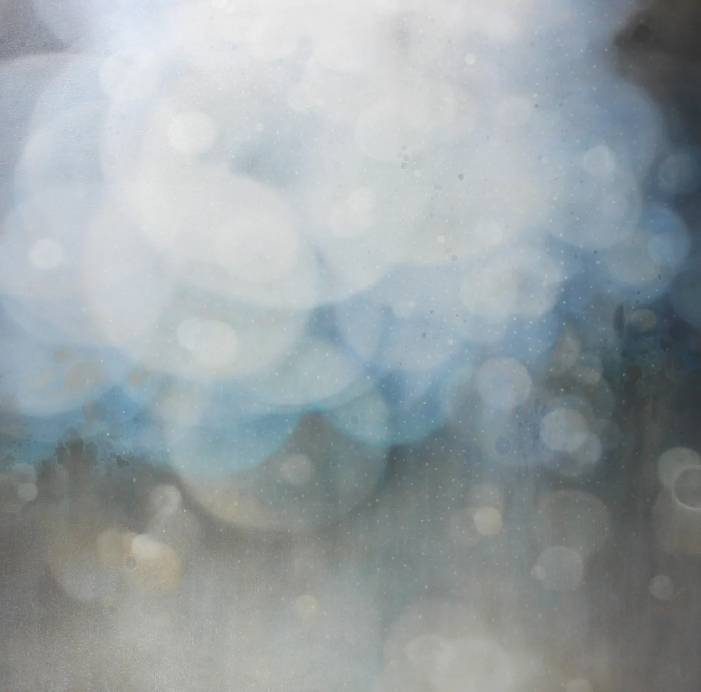 Jenn SHIFFLET, Transparency
