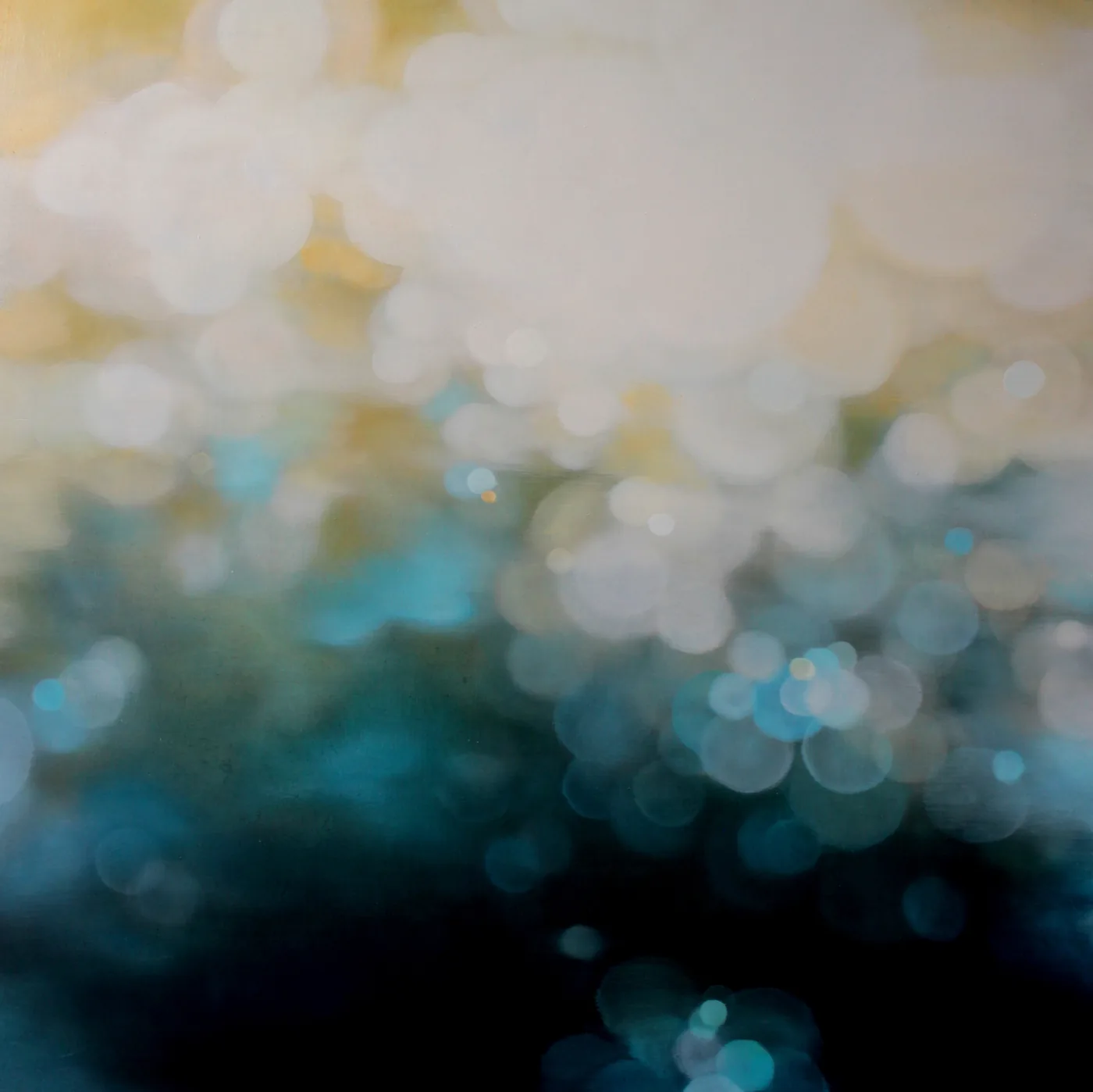 Jenn SHIFFLET, Fluid