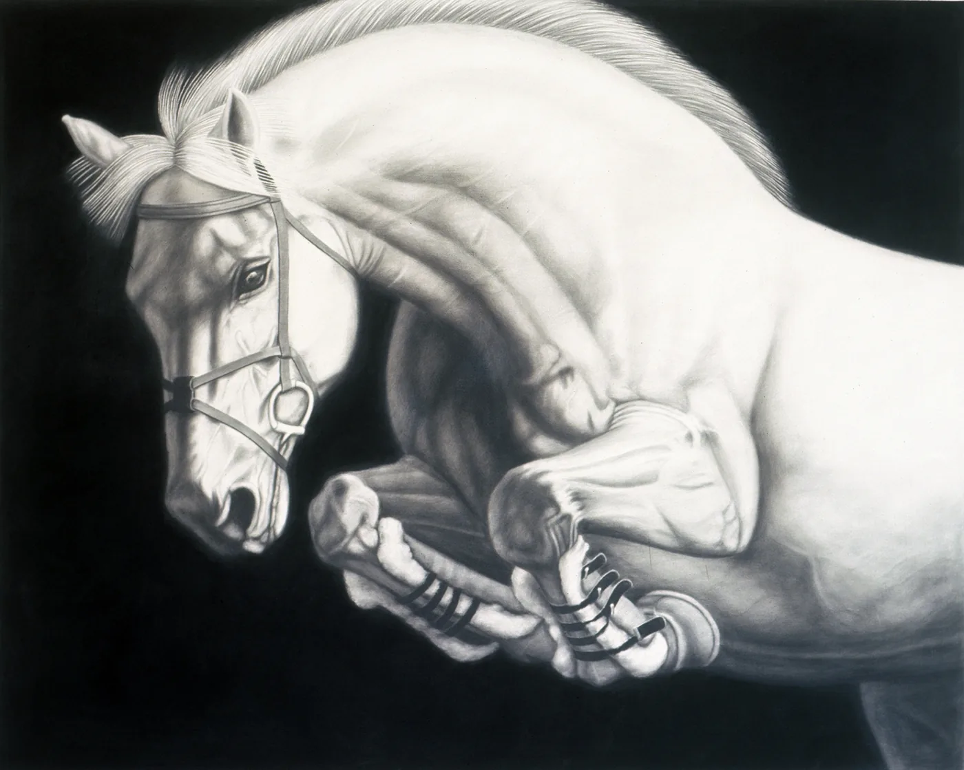 Joseph PICCILLO, Horse #10
