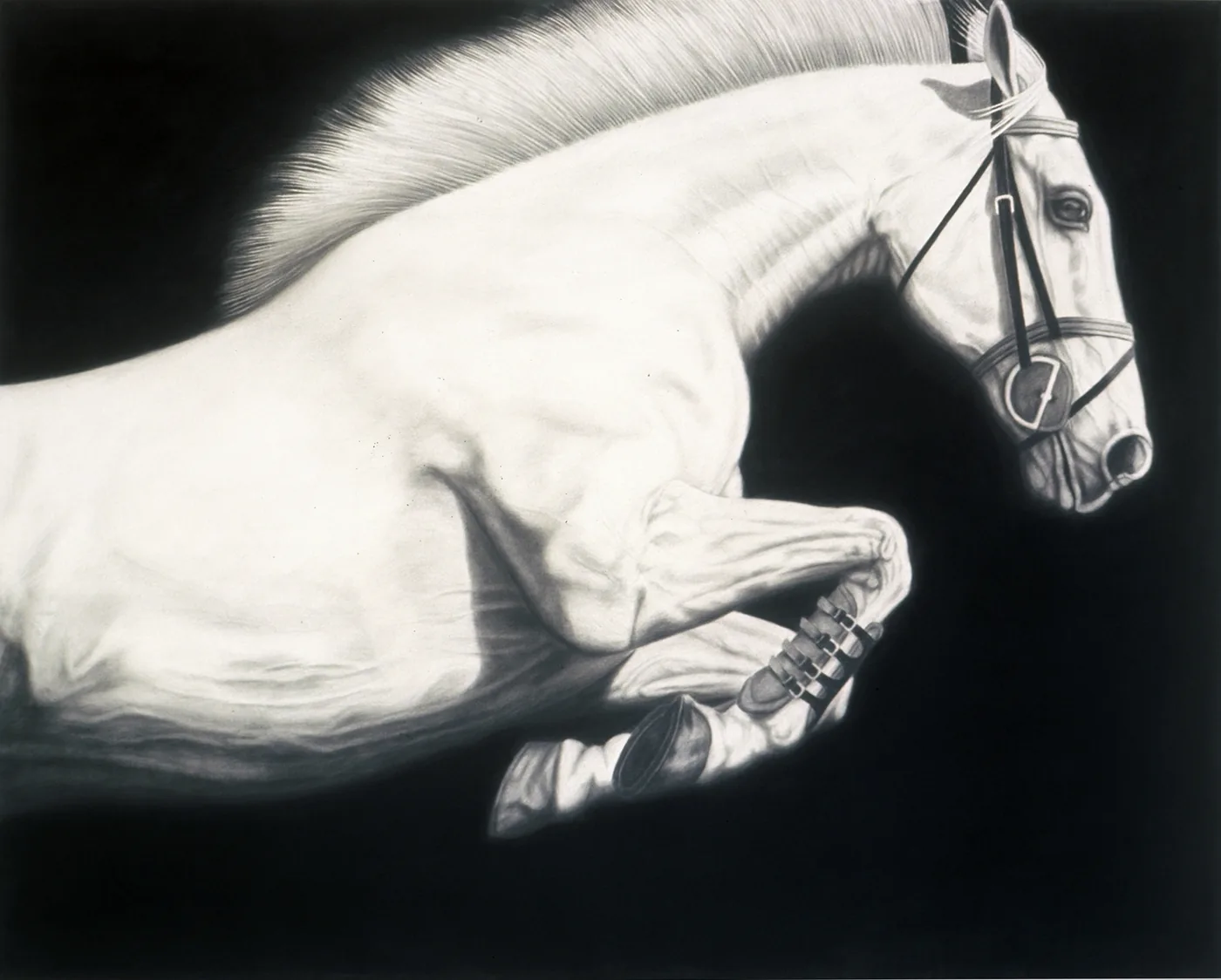 Joseph PICCILLO, Horse #13