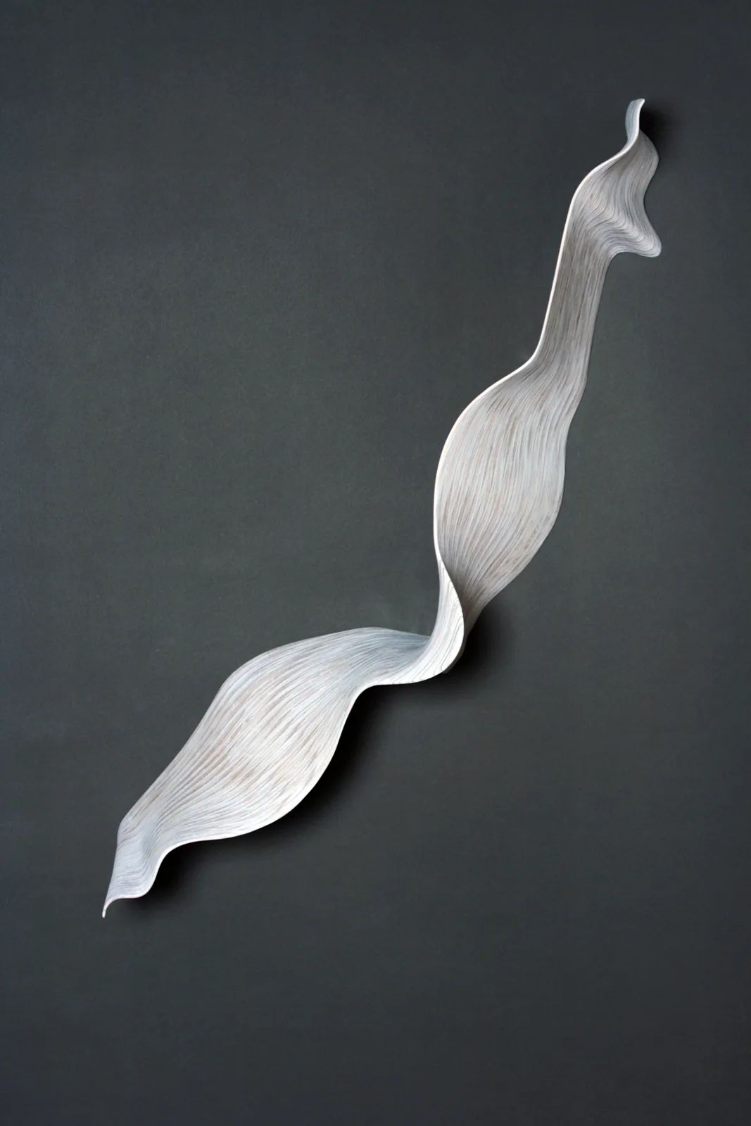Nancy SANSOM REYNOLDS — installation view