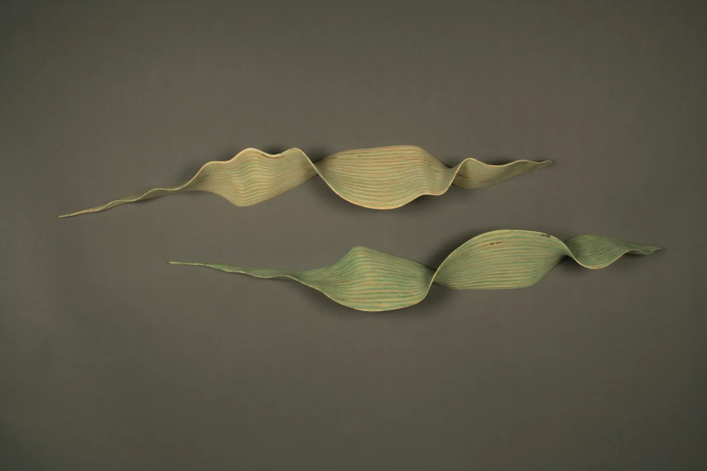 Nancy SANSOM REYNOLDS, un.furl green curve