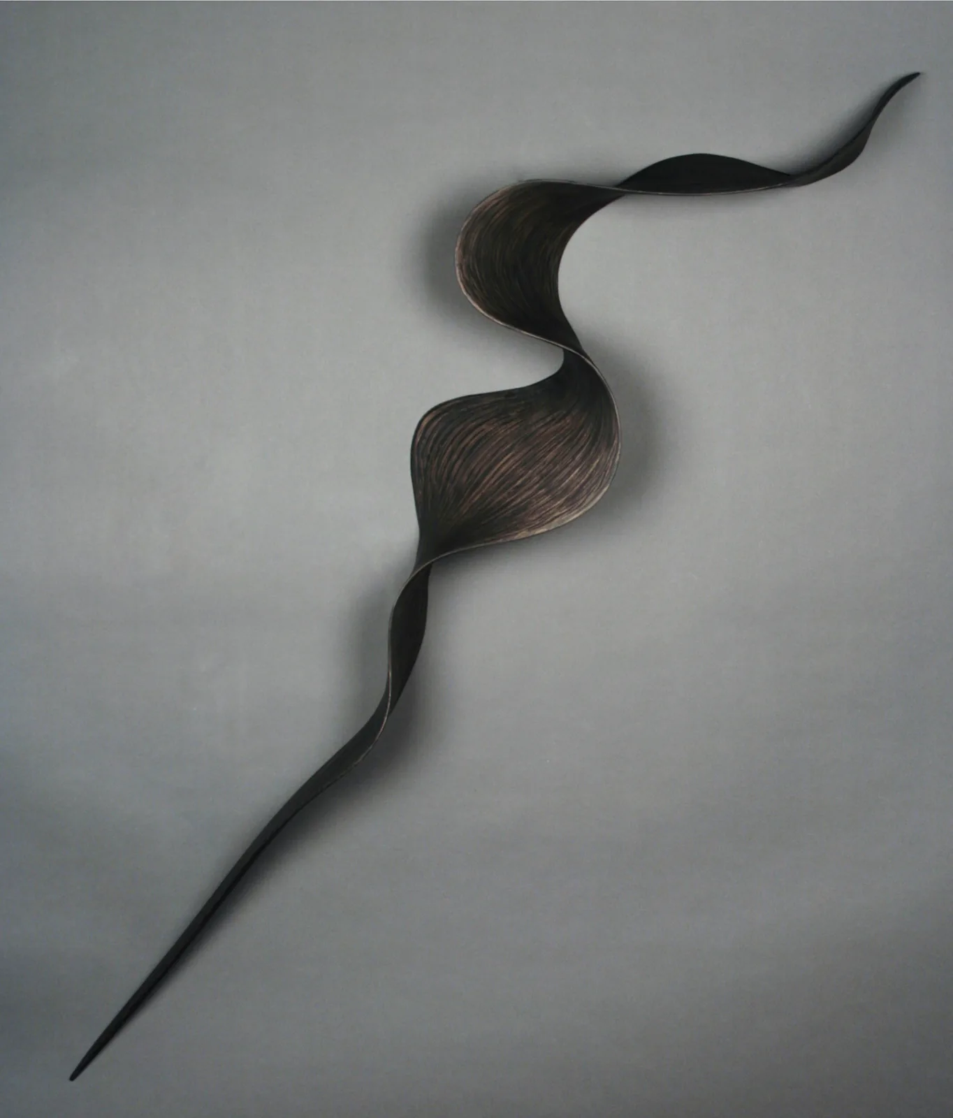 Nancy SANSOM REYNOLDS, un.furl black twist
