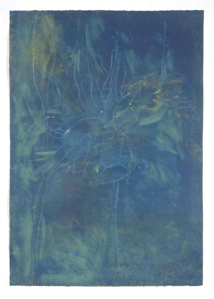 Suzi DAVIDOFF, Flowers for VSW