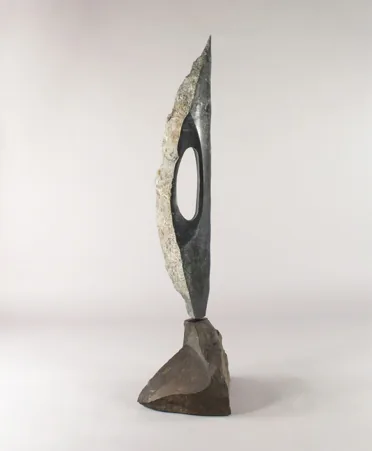 Will ROBINSON, Jade Vigil
