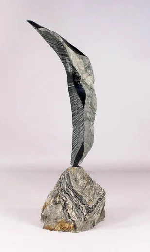 Will ROBINSON, Leaping Trout II