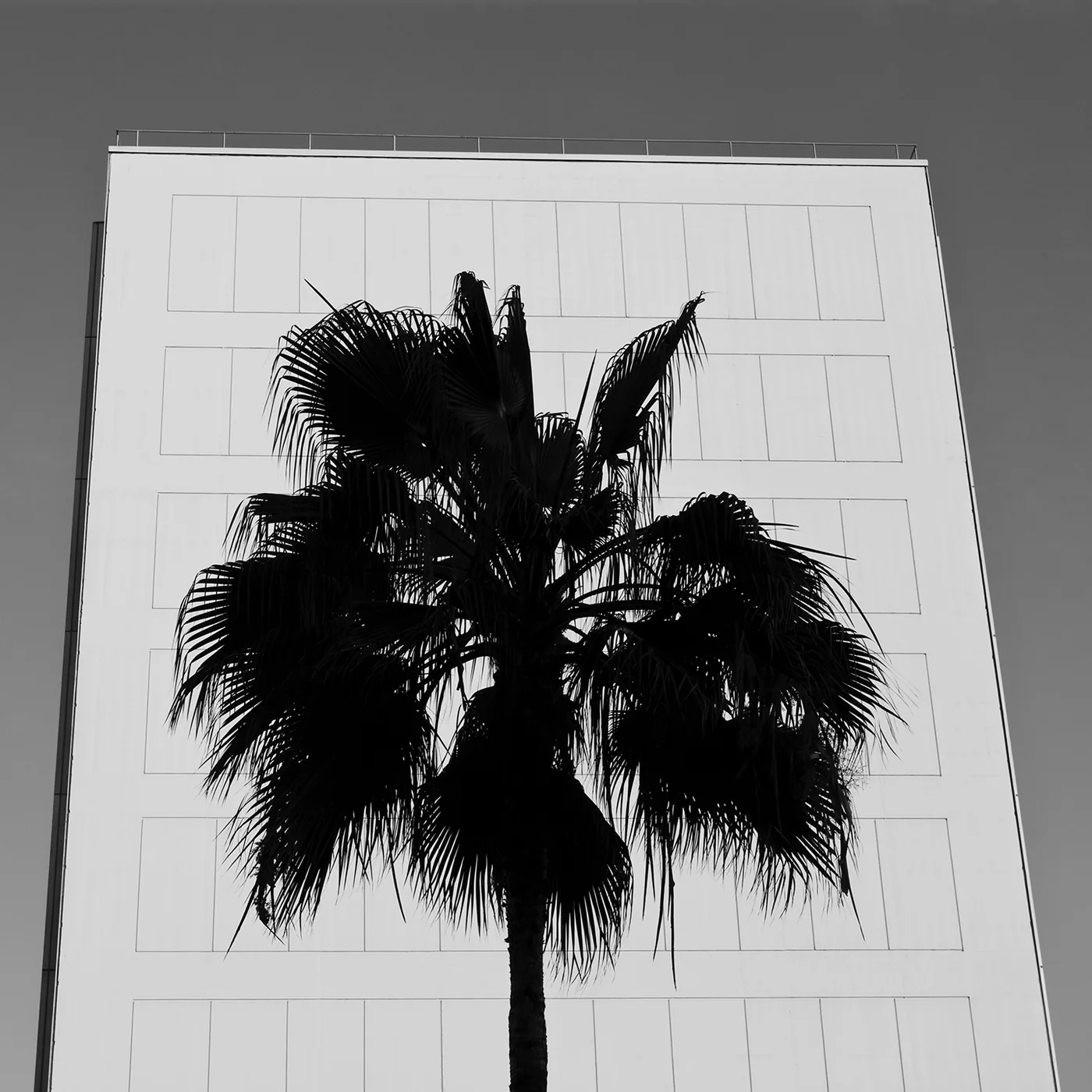 California Bank & Trust — installation view