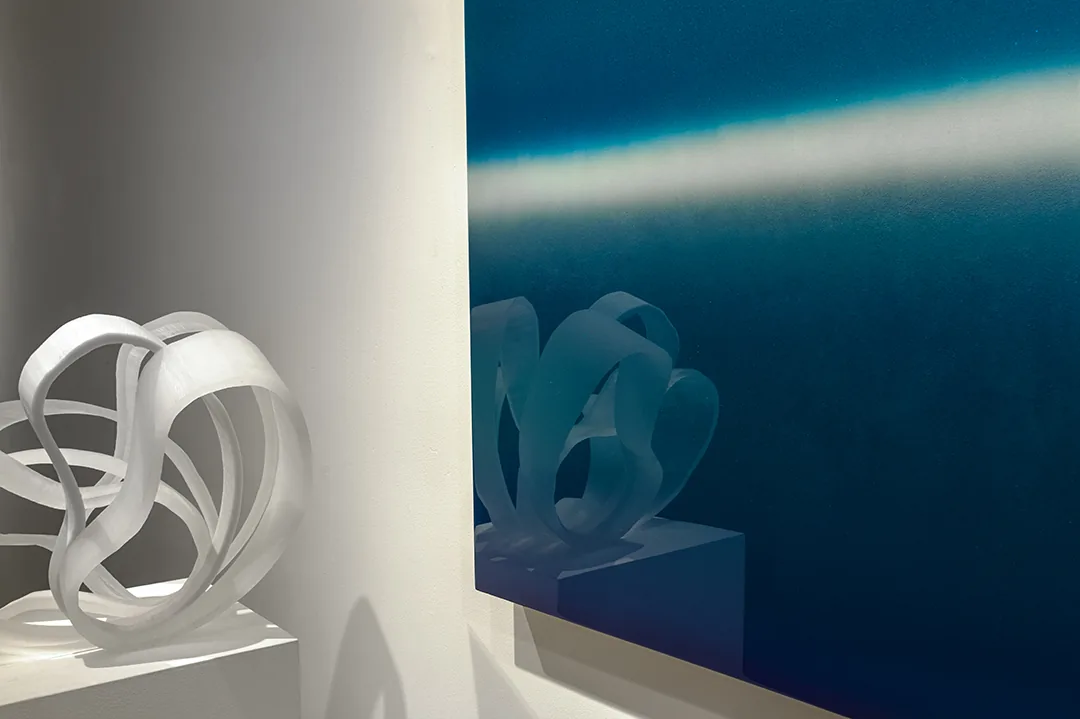 Casper Brindle Exhibition — installation view