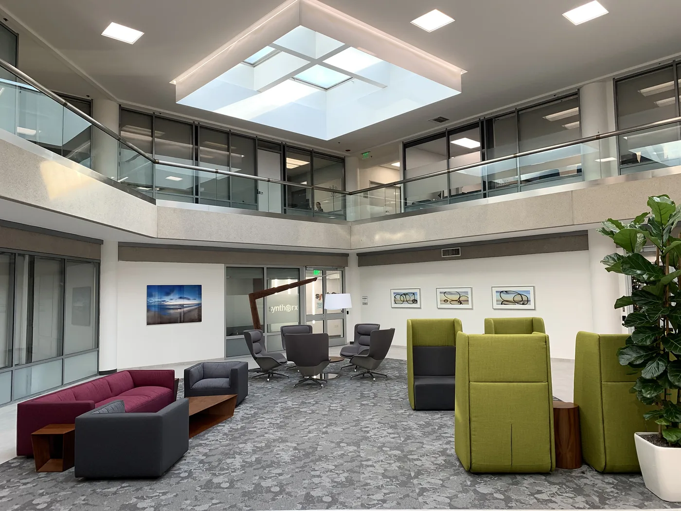 HCP Life Science — installation view