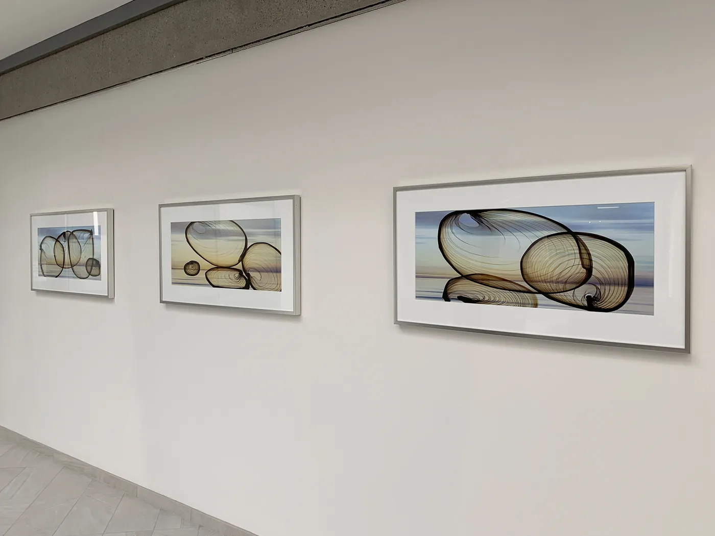 HCP Life Science — installation view