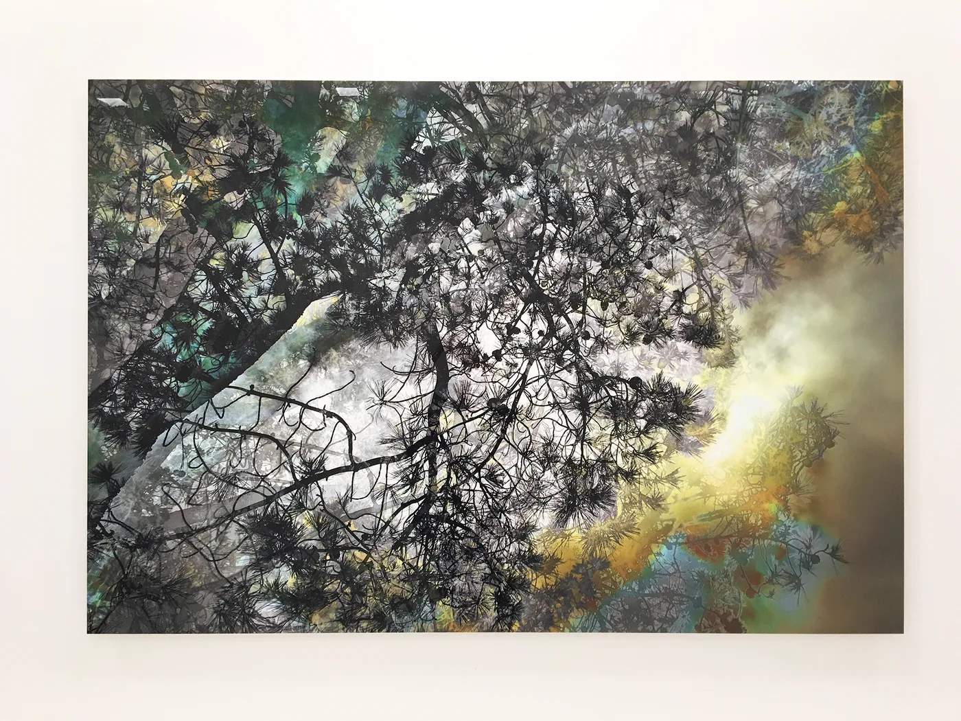 Jones Day — installation view