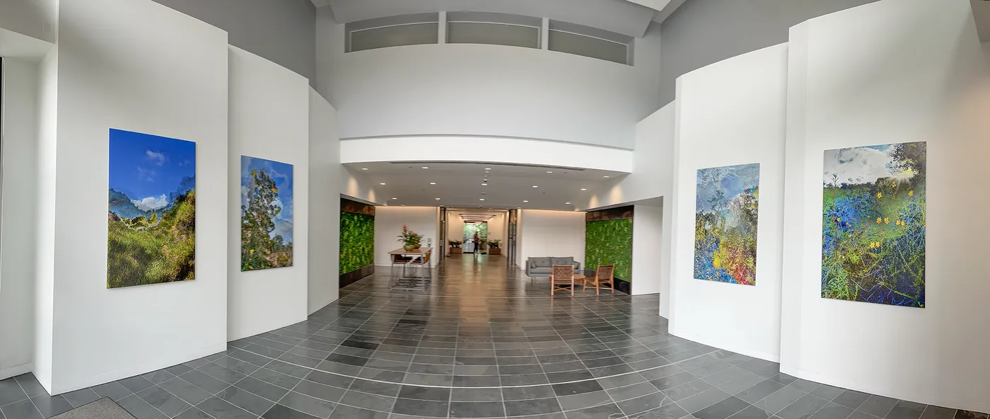 LeBeau Realty & Associates — installation view