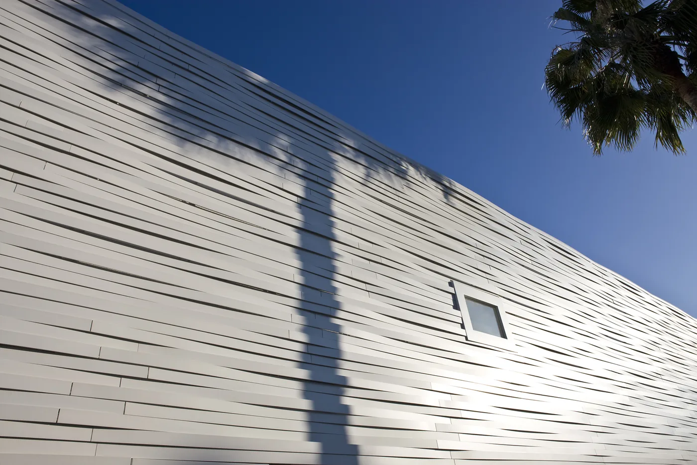 Torrey Pines Bank — installation view