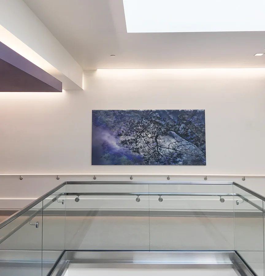 UC San Diego Health — installation view