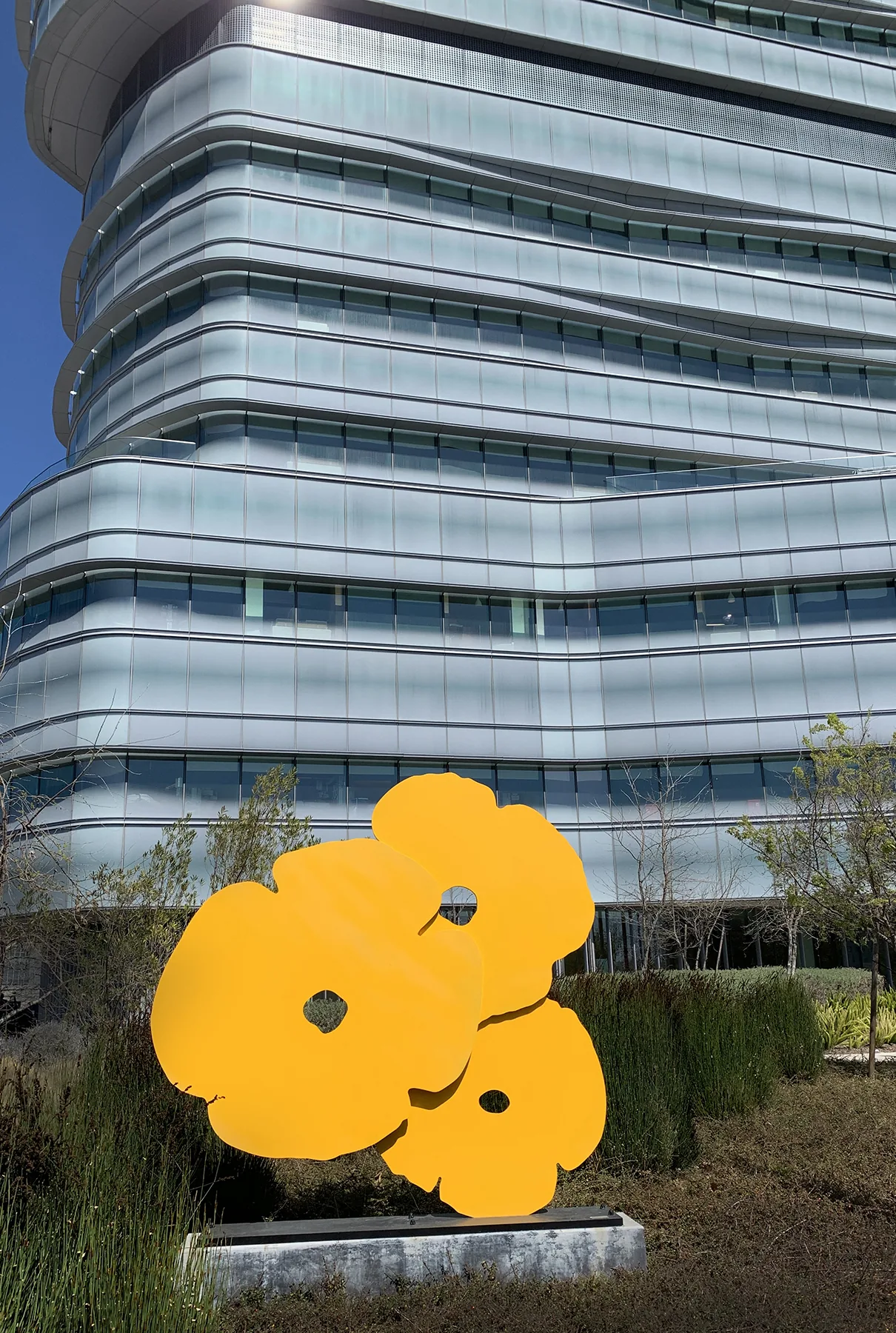 UC San Diego Health — installation view