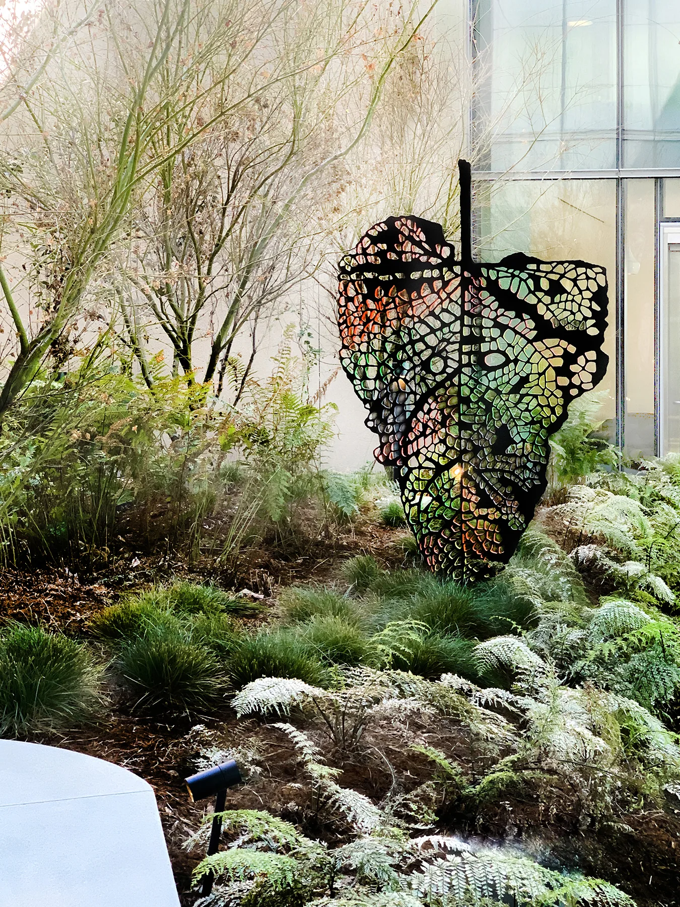 UC San Diego Health — installation view