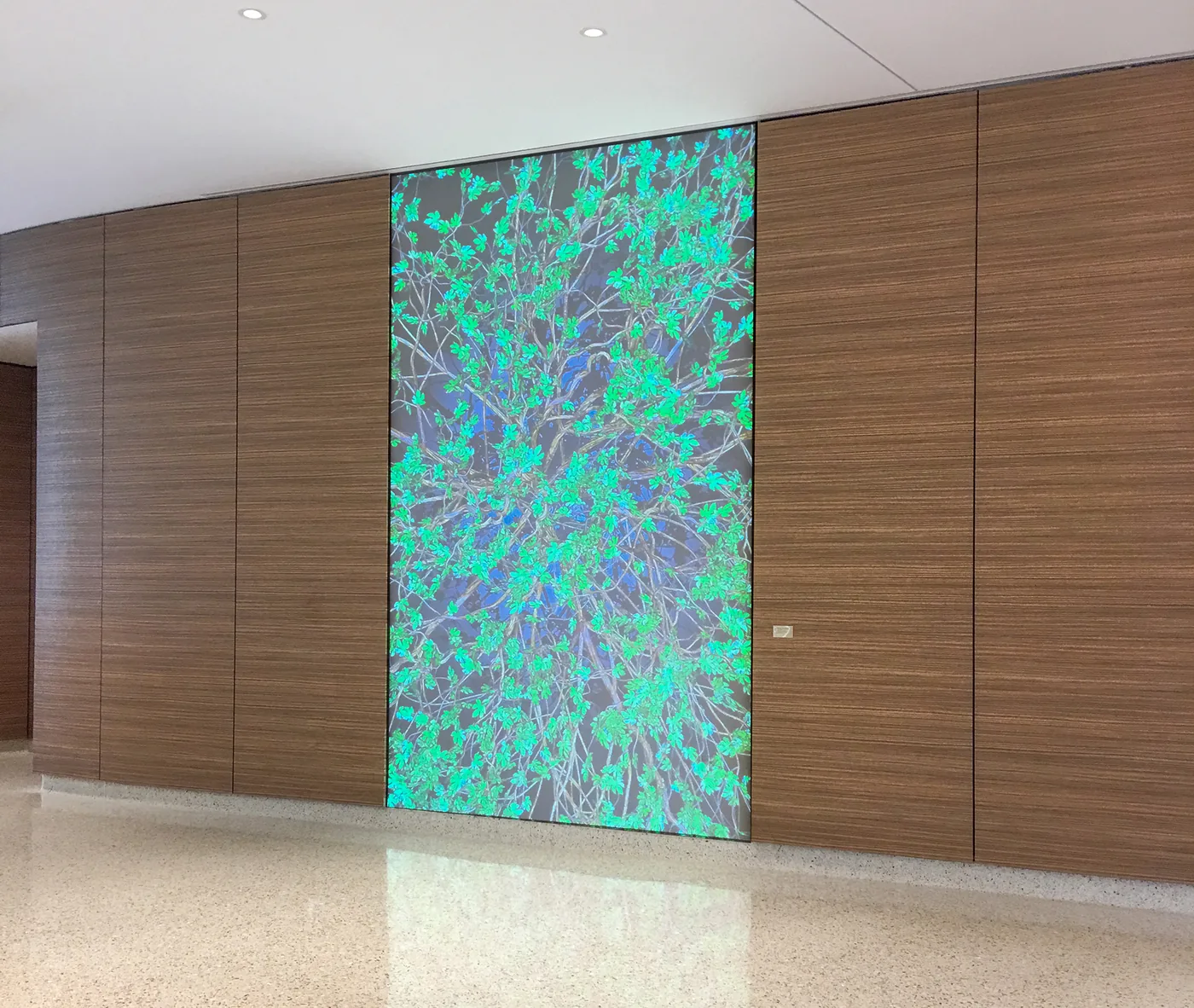 UC San Diego Health — installation view
