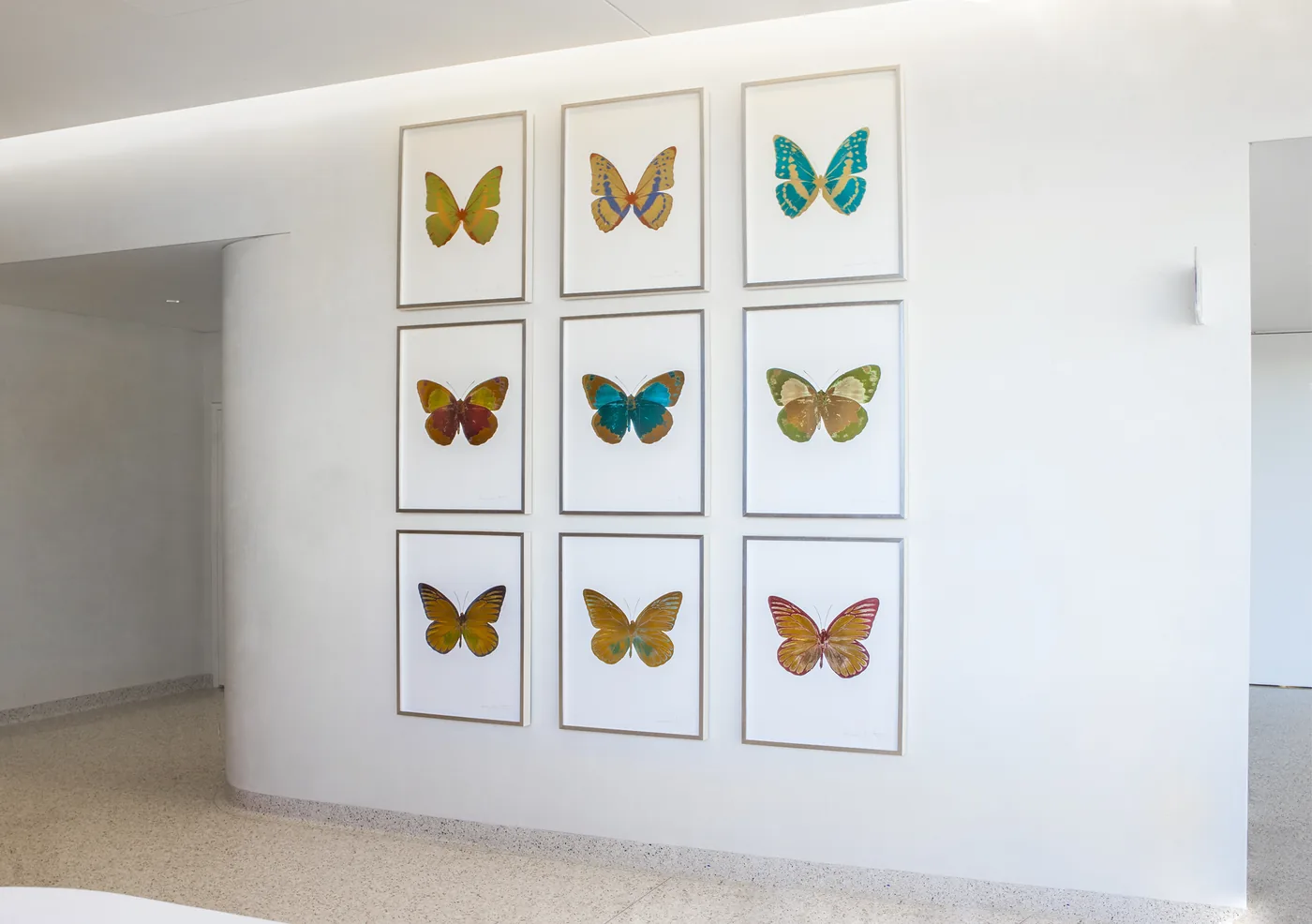 UC San Diego Health — installation view