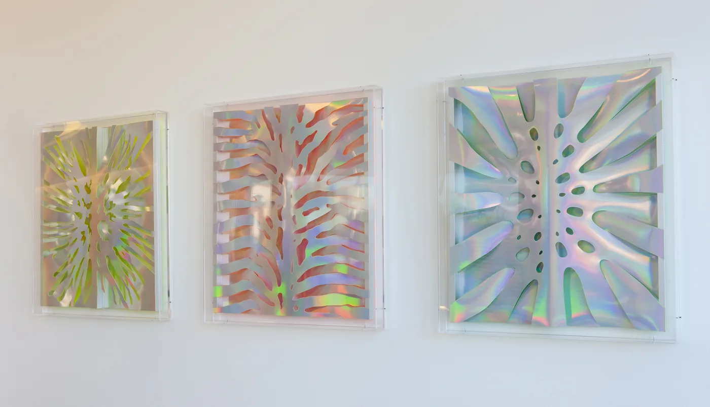 UC San Diego Health — installation view