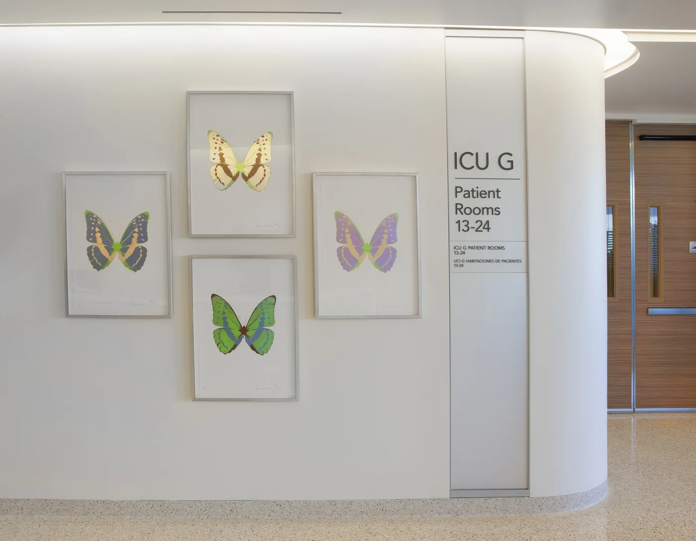 UC San Diego Health — installation view