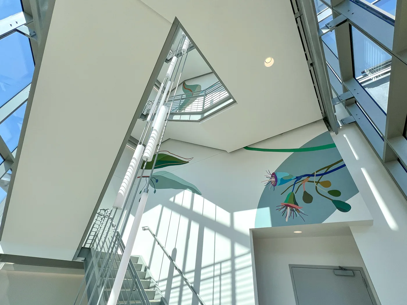 UC San Diego Health — installation view
