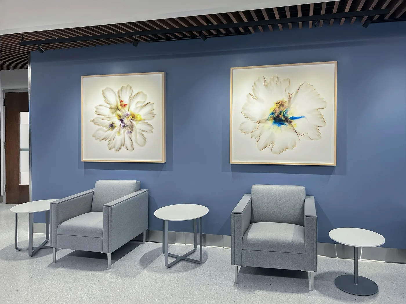 UC San Diego Health — installation view