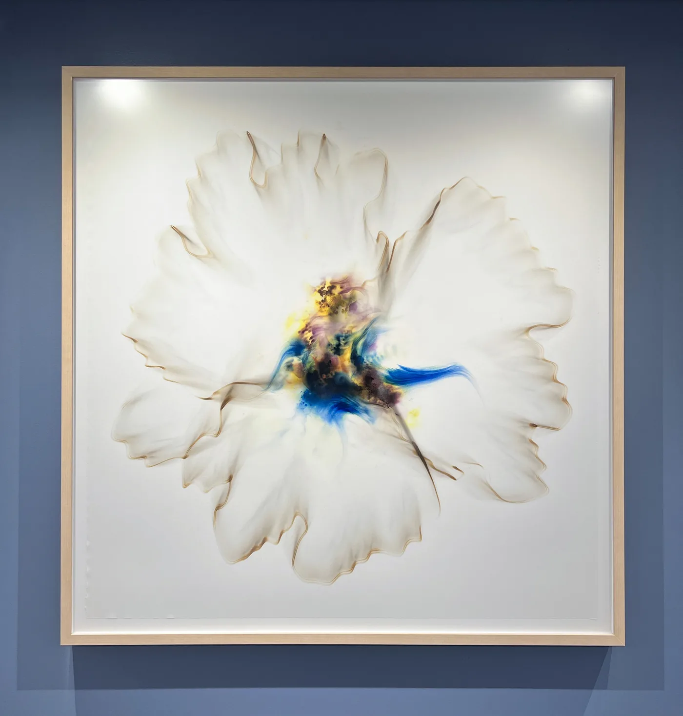 UC San Diego Health — installation view