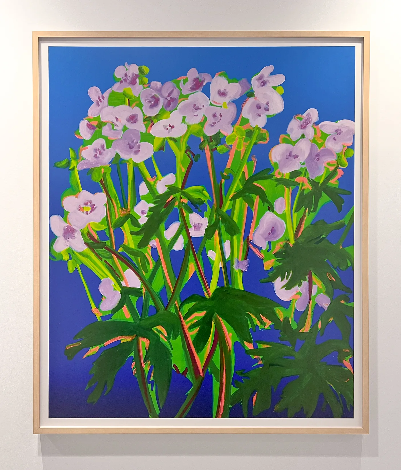 UC San Diego Health — installation view